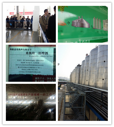 凝心聚力,共话厦大情---记2014年厦门大学MBA历届班长及代表联谊活动