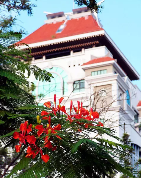 那些毕业季的“大”事--2017届MBA“三大奖”评选